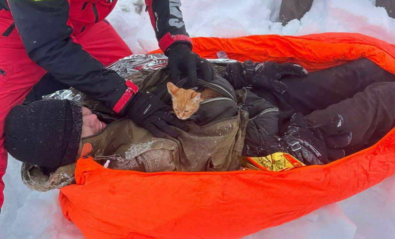 Котенок спас жизнь жителю Харькова в горах Румынии