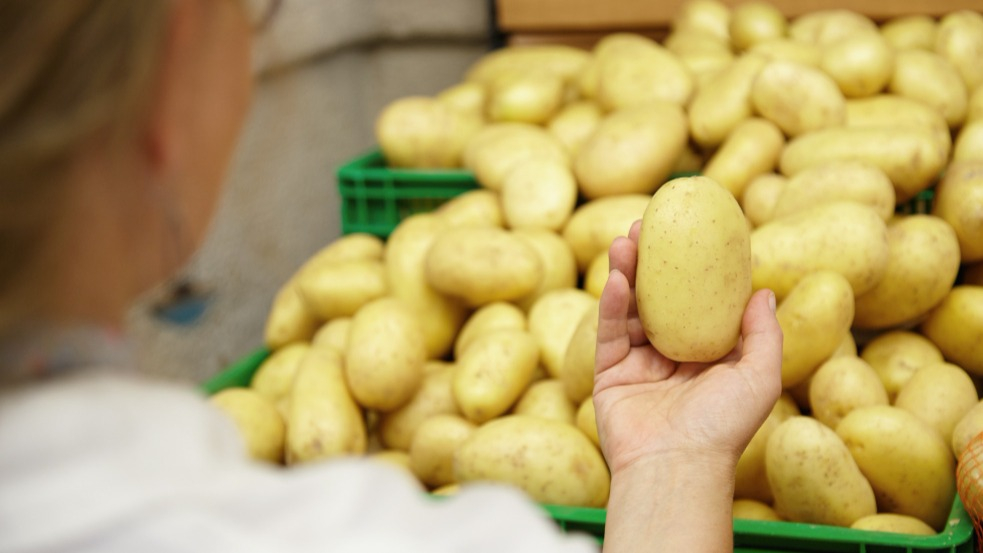 Овощи не по карману. Стоимость сельхозпродукции в Молдове выросла на треть за год